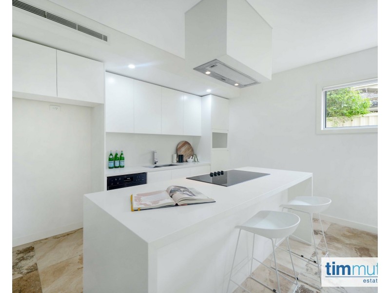 38A Douglas St, Panania NSW 2213