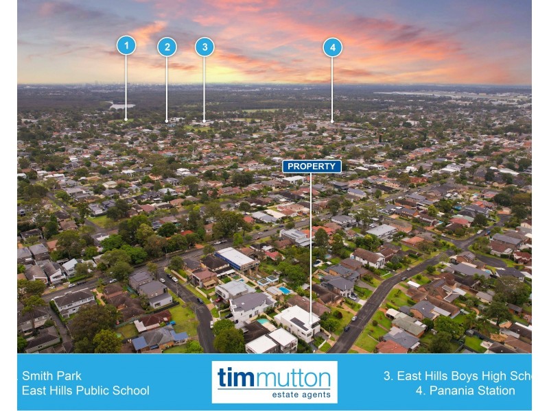 38A Douglas St, Panania NSW 2213