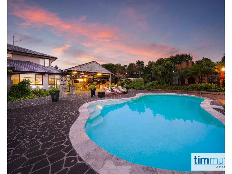 23 Jane Ct, Narellan Vale NSW 2567