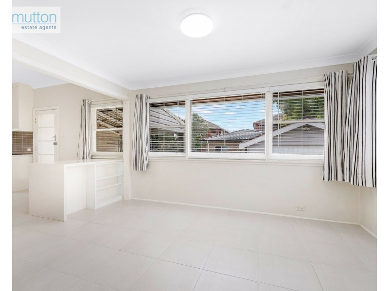 3 Mona Rd, Riverwood NSW 2210