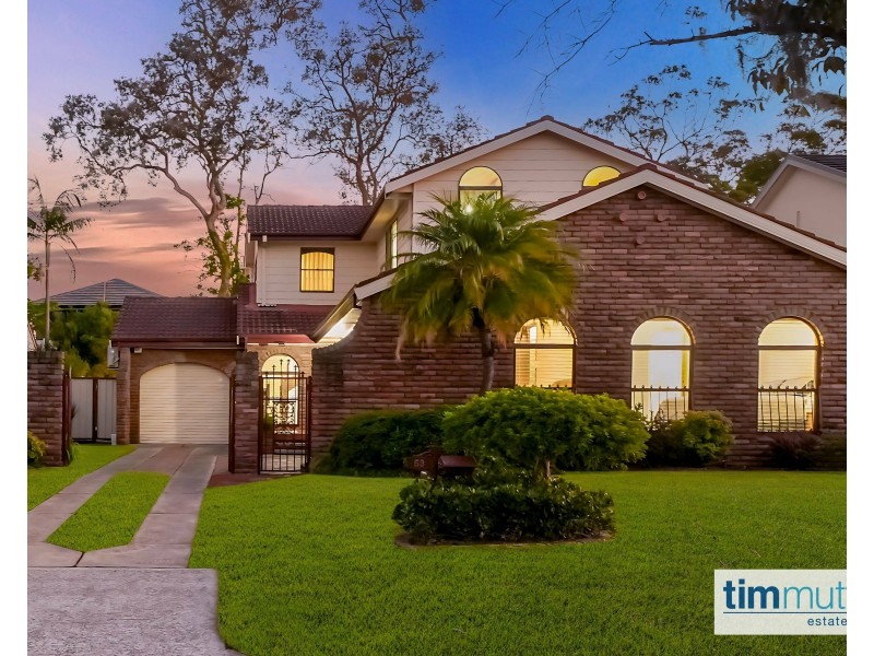 53 Martin Cres, Milperra NSW 2214
