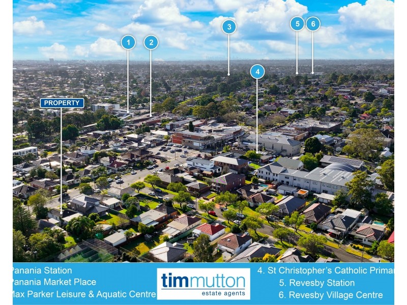 253 Tower St, Panania NSW 2213