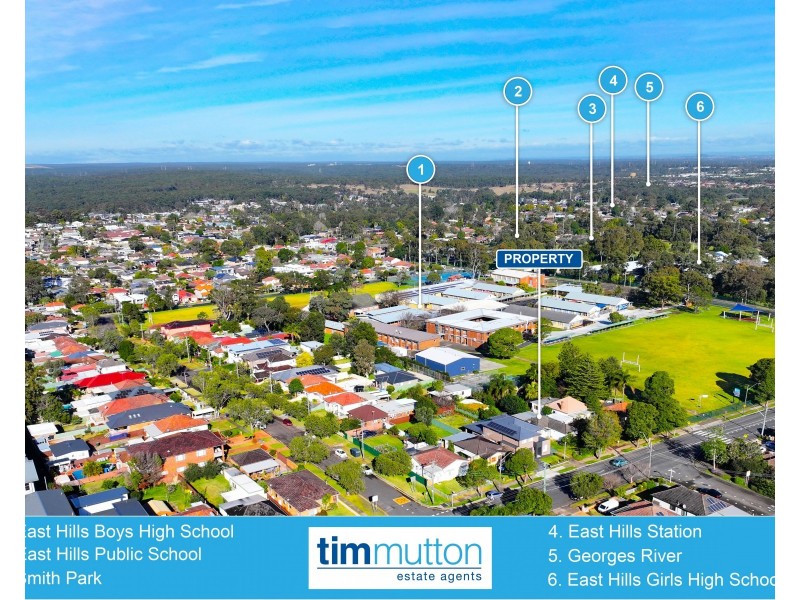 253 Tower St, Panania NSW 2213