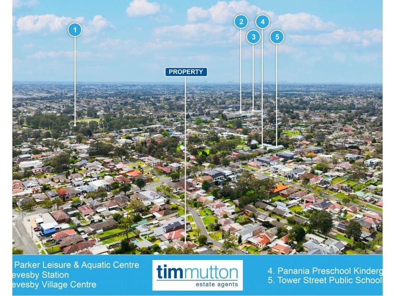 12 Ellen St, Panania NSW 2213