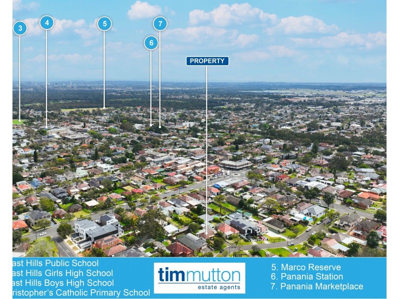 12 Ellen St, Panania NSW 2213