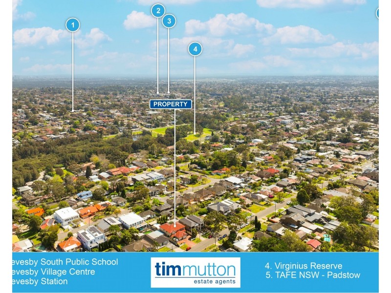 146 Faraday Rd, Padstow NSW 2211