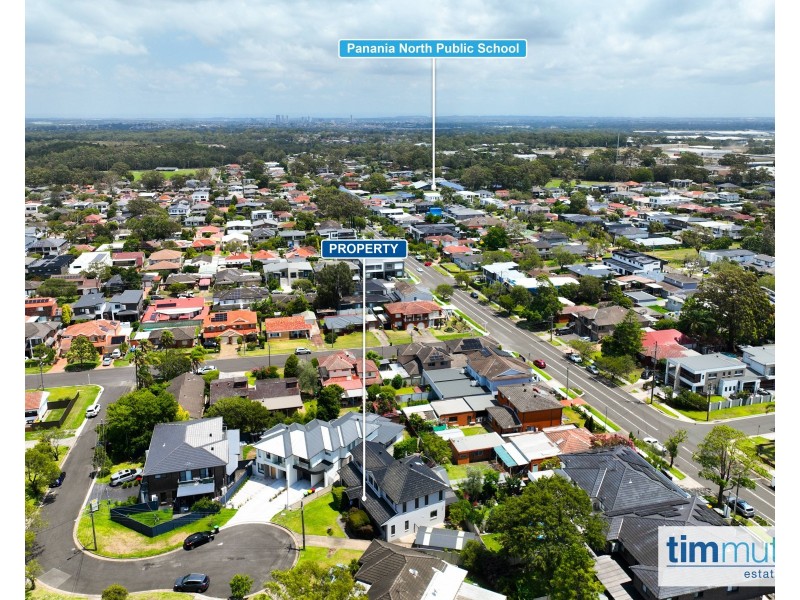 3 Melham Ave, Panania NSW 2213