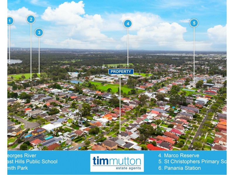 29 Milford Ave, Panania NSW 2213