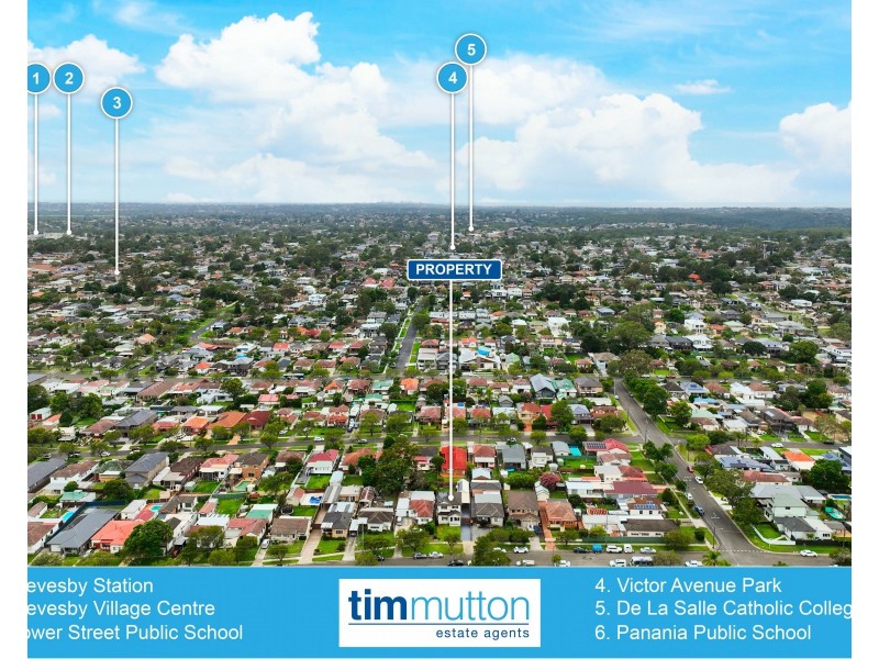 29 Milford Ave, Panania NSW 2213