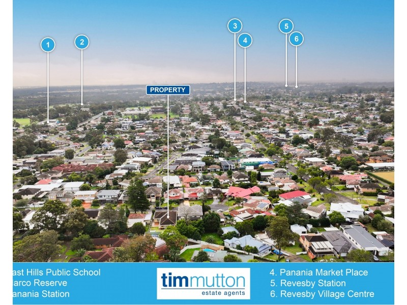 13 Penrose Avenue, East Hills NSW 2213