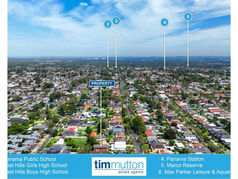 25A Tompson Road, Revesby NSW 2212