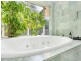 52 Fig Tree Drive, Caravonica QLD 4878