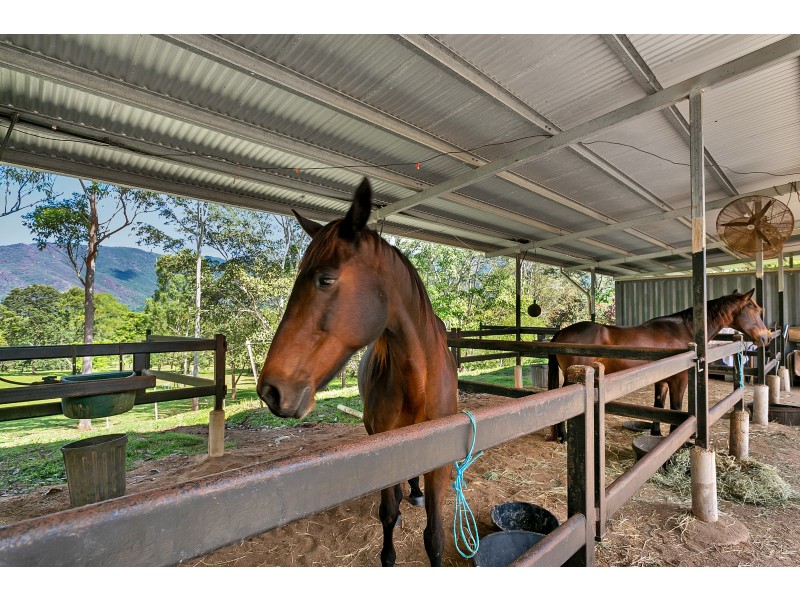 30 Gallet Road, Little Mulgrave QLD 4865