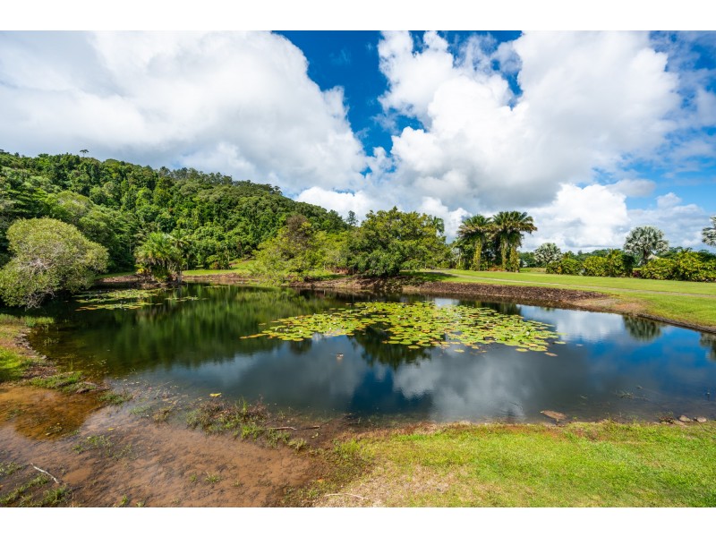 450 Dinner Creek Road, Eubenangee QLD 4860