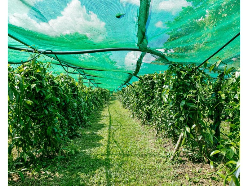 390 Woopen Creek Road, Woopen Creek QLD 4871