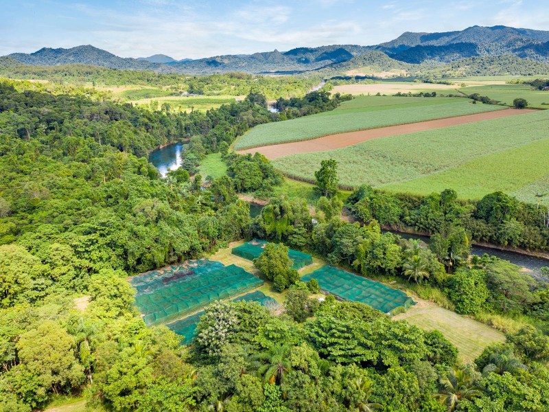 390 Woopen Creek Road, Babinda QLD 4861