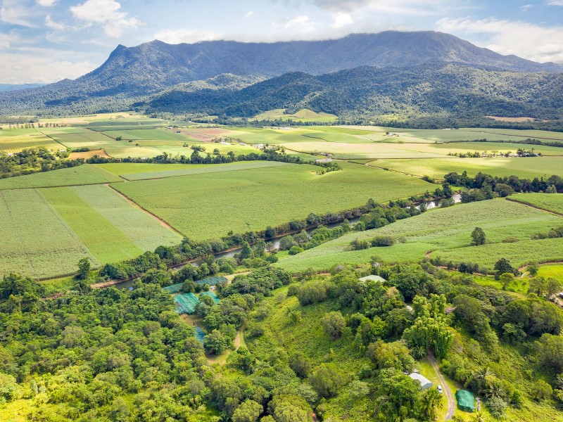 390 Woopen Creek Road, Babinda QLD 4861