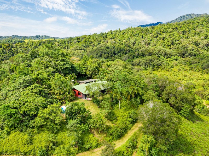390 Woopen Creek Road, Babinda QLD 4861