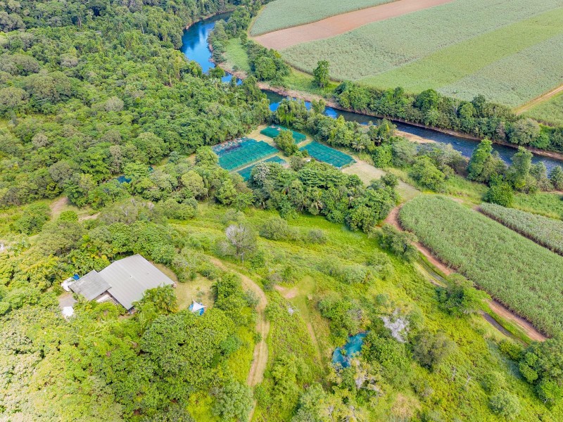 390 Woopen Creek Road, Babinda QLD 4861