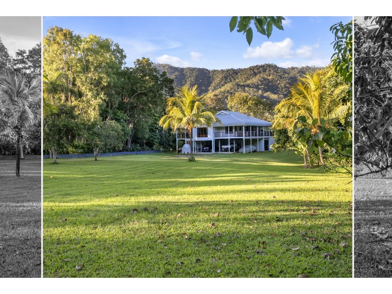 42-46 Appaloosa Street, Little Mulgrave QLD 4865