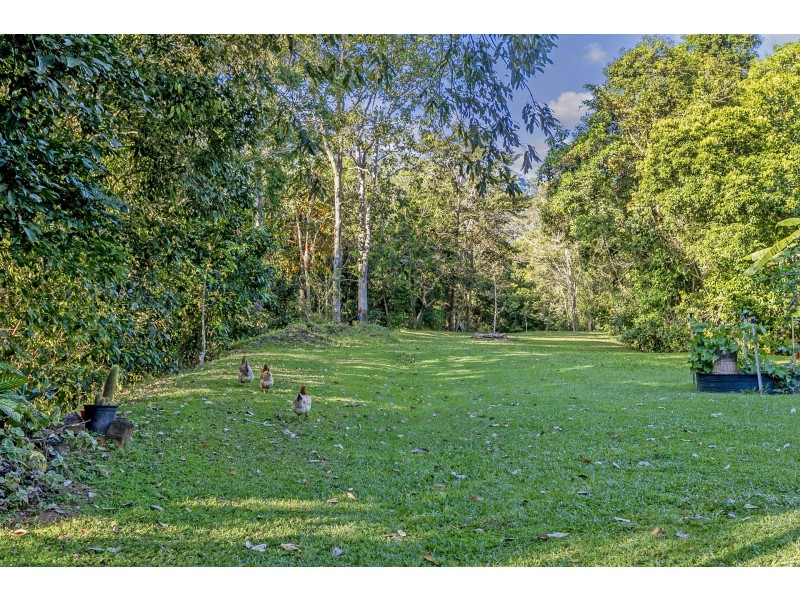 42-46 Appaloosa Street, Little Mulgrave QLD 4865