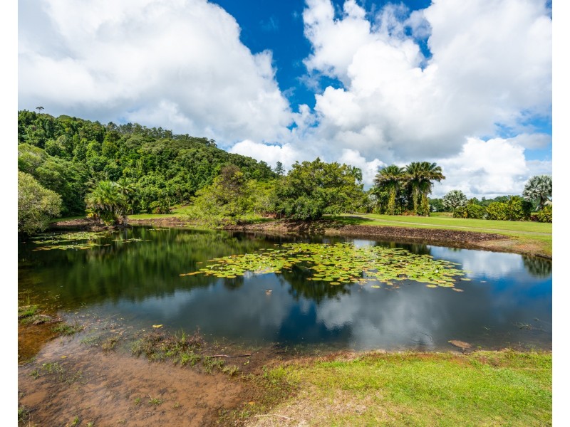 450 Dinner Creek Road, Eubenangee QLD 4860