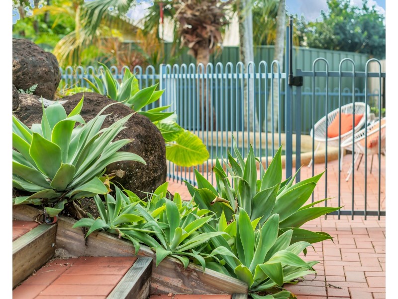 10 Sweetlip Close, Kanimbla QLD 4870