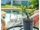 10 Sweetlip Close, Kanimbla QLD 4870