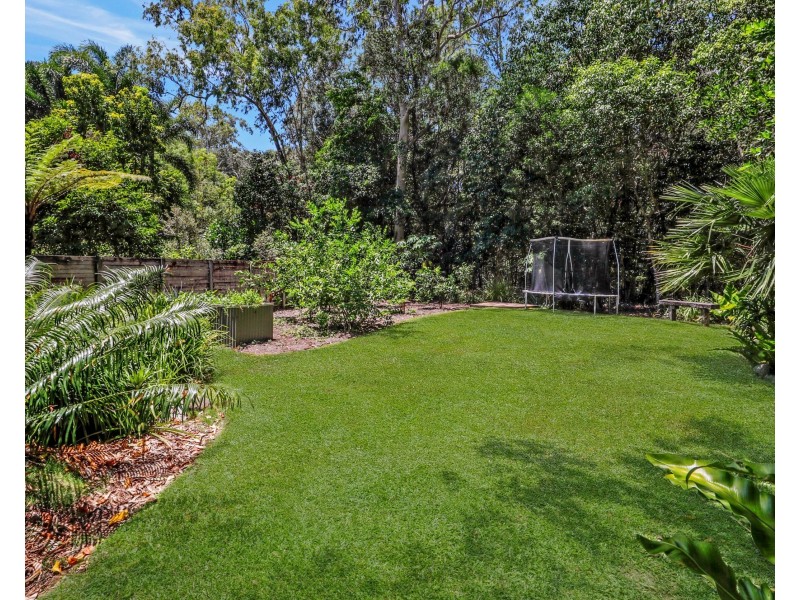 236 Panguna Street, Smithfield QLD 4878