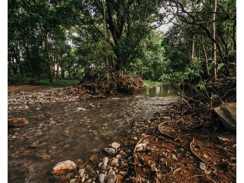 236 Panguna Street, Smithfield QLD 4878