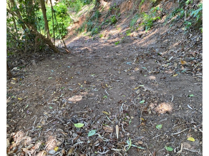 111 Mansfield Street, Earlville QLD 4870