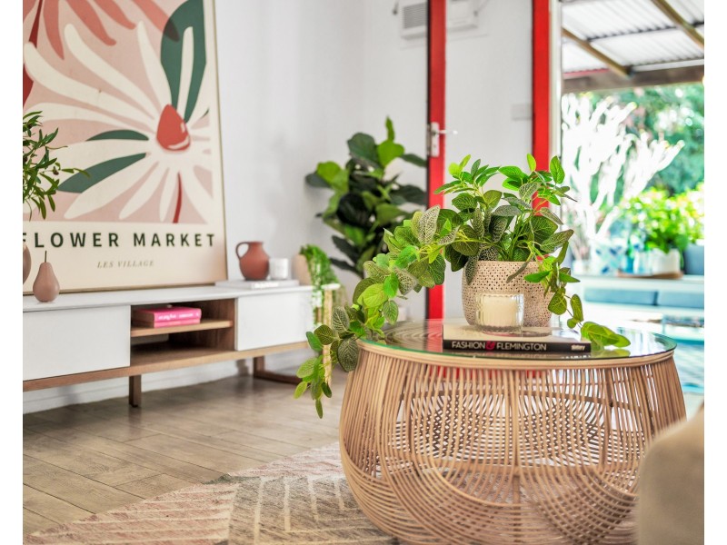 54 Waite Street, Machans Beach QLD 4878