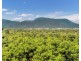 18 Bel-Air Drive, Whitfield QLD 4870