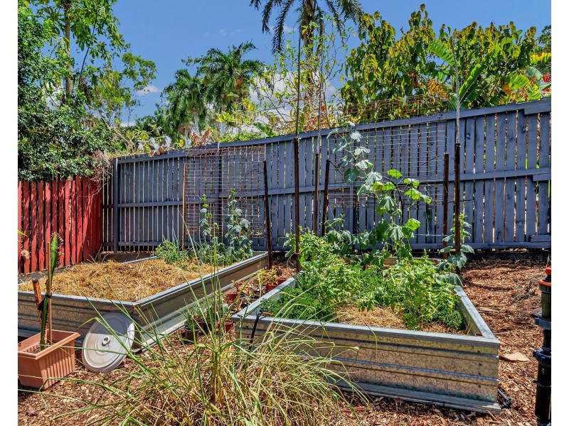 79 Mansfield Street, Earlville QLD 4870