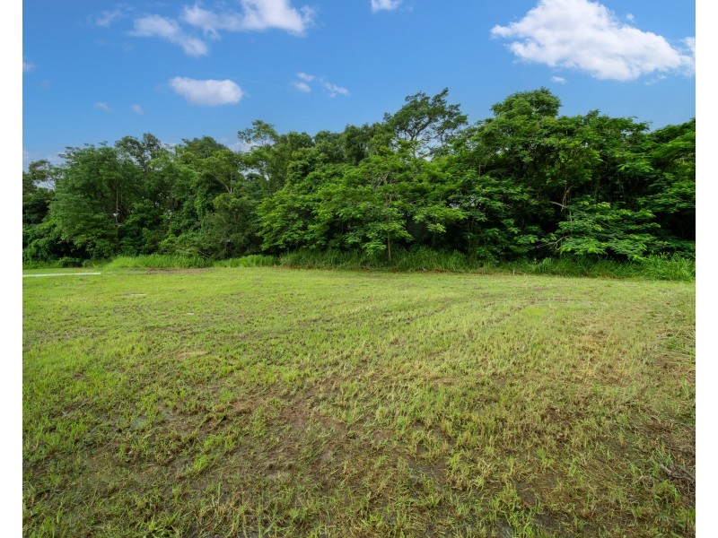 19 Basswood Avenue, Bentley Park QLD 4869
