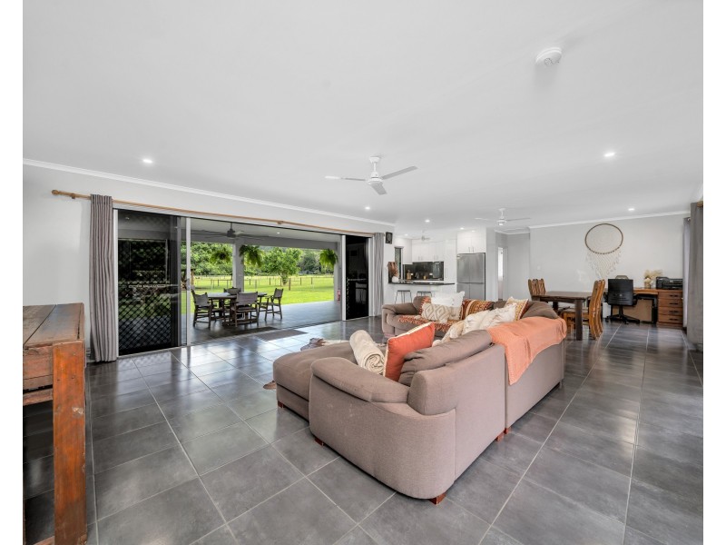 384 Little Mulgrave Road, Little Mulgrave QLD 4865