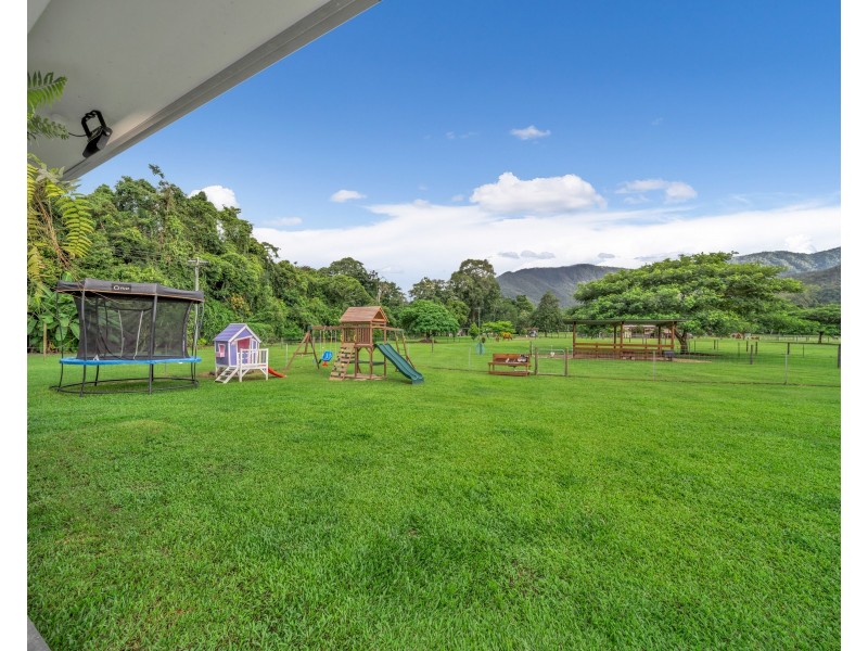 384 Little Mulgrave Road, Little Mulgrave QLD 4865
