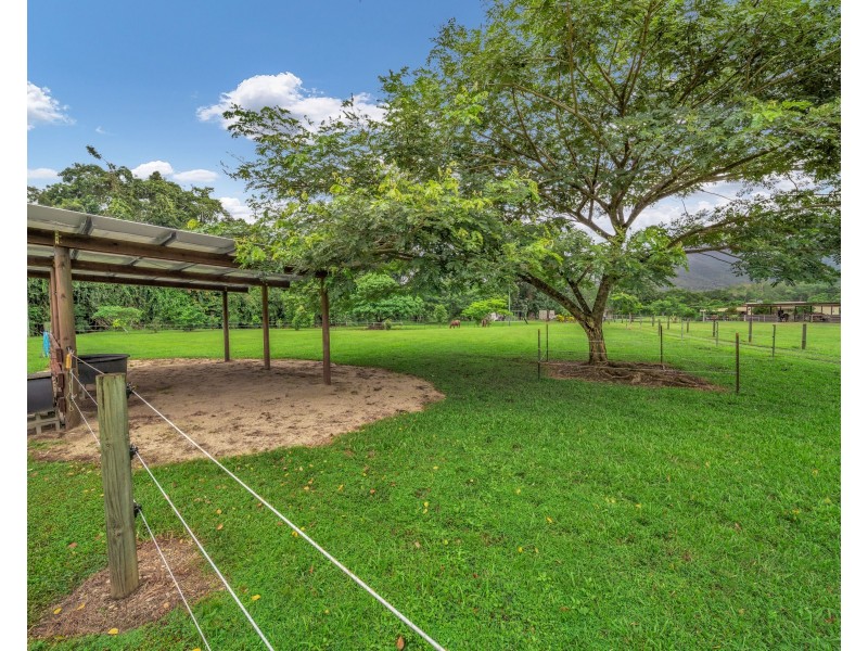 384 Little Mulgrave Road, Little Mulgrave QLD 4865