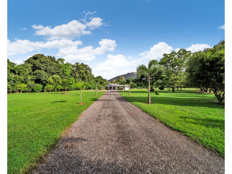 384 Little Mulgrave Road, Little Mulgrave QLD 4865