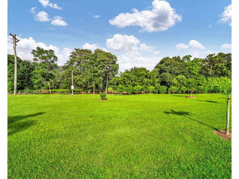 384 Little Mulgrave Road, Little Mulgrave QLD 4865