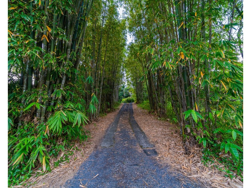 390 Woopen Creek Road, Woopen Creek QLD 4871