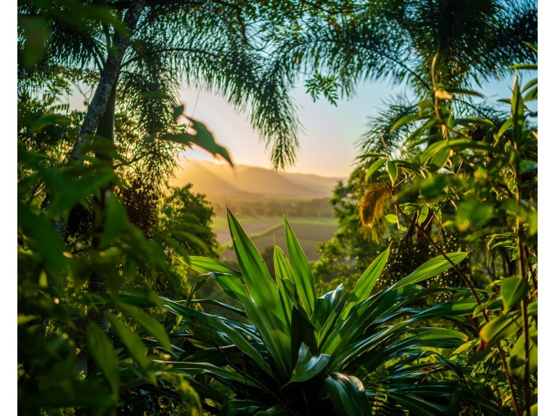 390 Woopen Creek Road, Woopen Creek QLD 4871