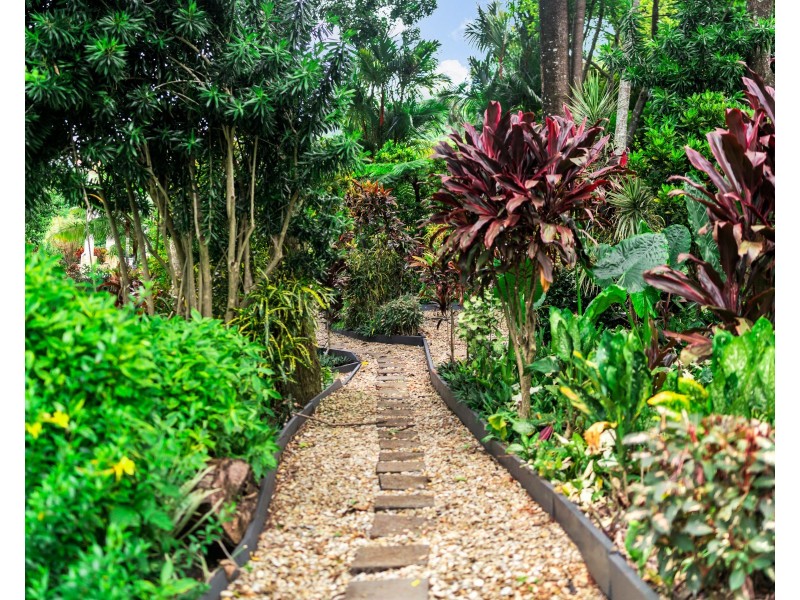 35 Chirio Drive, Redlynch QLD 4870