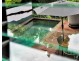 11 Diamond Close, Stratford QLD 4870