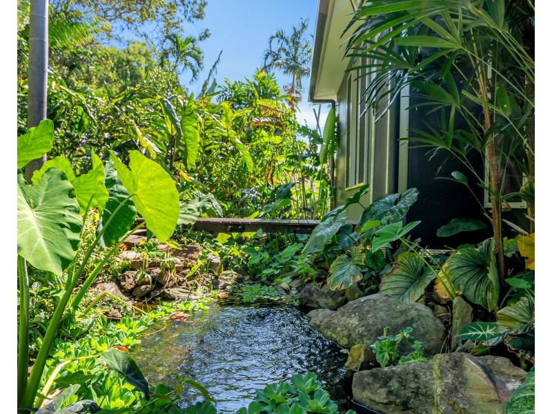 11 Diamond Close, Stratford QLD 4870