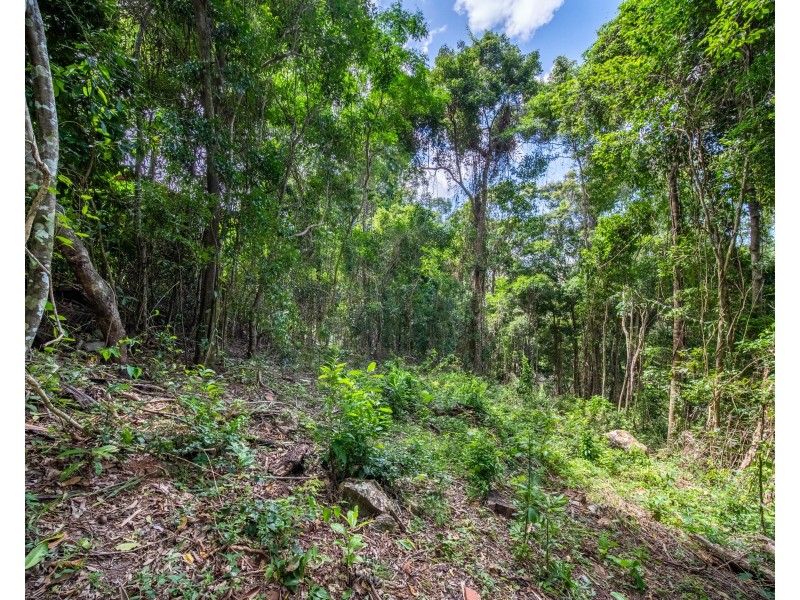 8 Barklya Close, Kamerunga QLD 4870