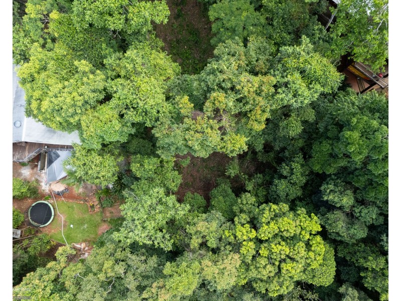 8 Barklya Close, Kamerunga QLD 4870