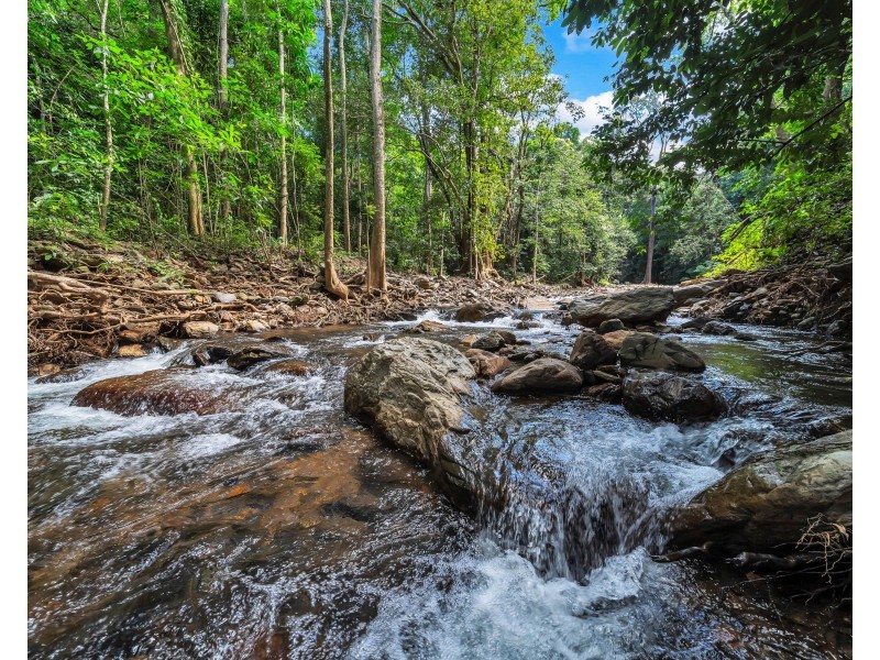 9 Douglas Track Road, Kamerunga QLD 4870