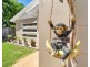 44 McFarlane Drive, Kanimbla QLD 4870