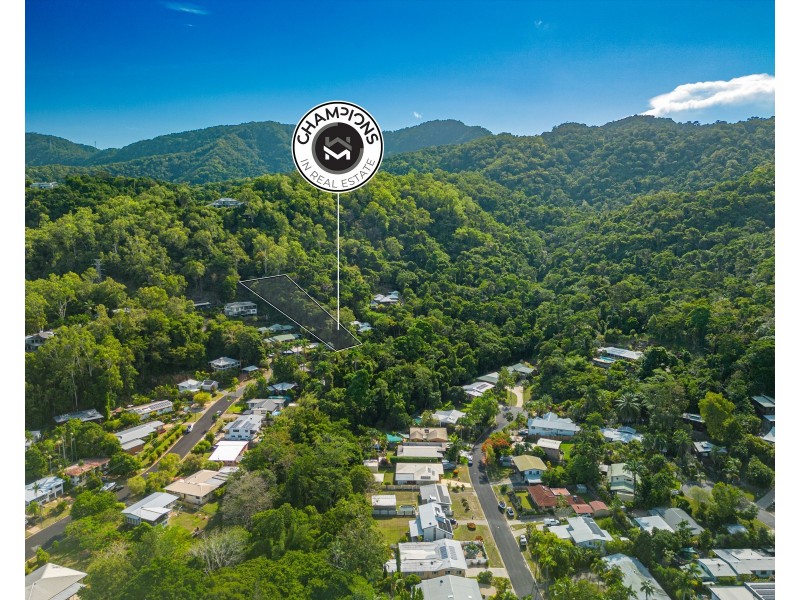 111 Mansfield Street, Earlville QLD 4870